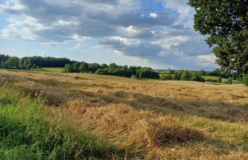 Siedlisko Dwa Żurawie - Uroczy domek nad stawem, z kominkiem, obok konie - Foto 25