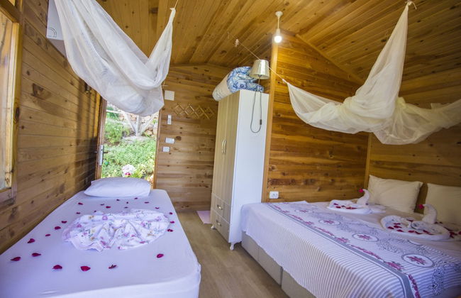 Fullmoon Camping - Photo 4