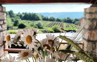 Guesthouse Marija - Foto 18