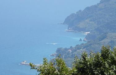 Homer's Guesthouse - Foto 30