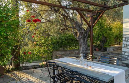 Andromachi - Foto 14