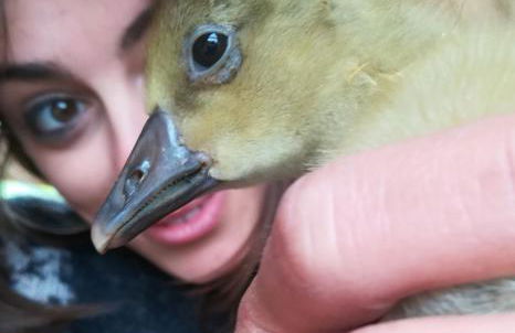 Agriturismo Il Riccio - Foto 22