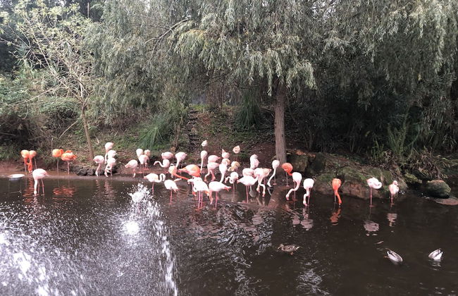 Saada appartement El Jadida - Foto 9