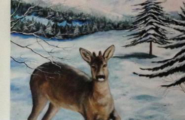 Alpe di Sara - Foto 21