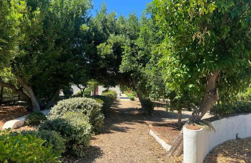 Casa do Tanque - Foto 2