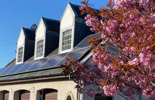 WHITEHILL STABLES - Foto 1