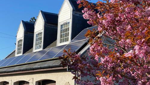 WHITEHILL STABLES - Foto 1