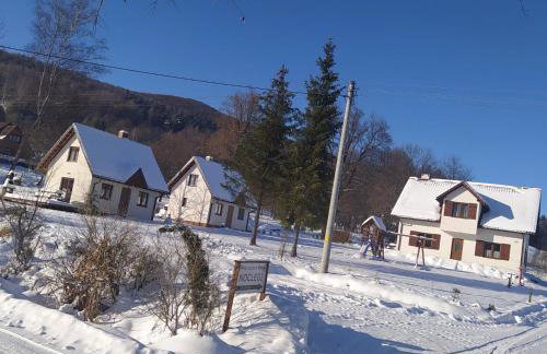 Domek Bieszczadzkie Brzegi - Foto 26