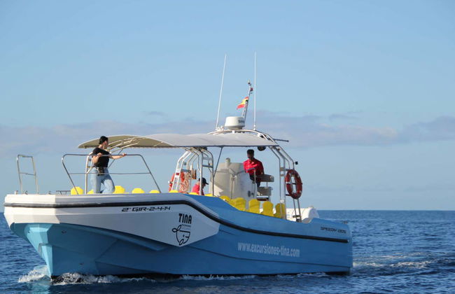 Balade en bateau à Los Órganos et à l'ouest de La Gomera - Photo 2