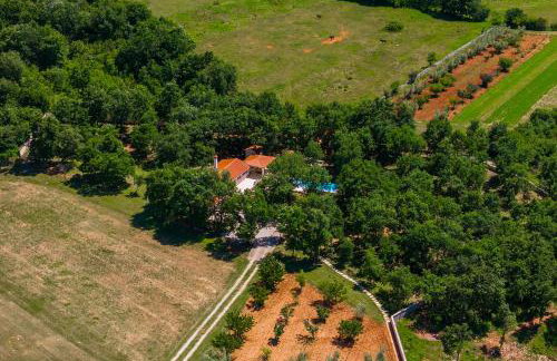 Villa Martinetinka - Foto 62