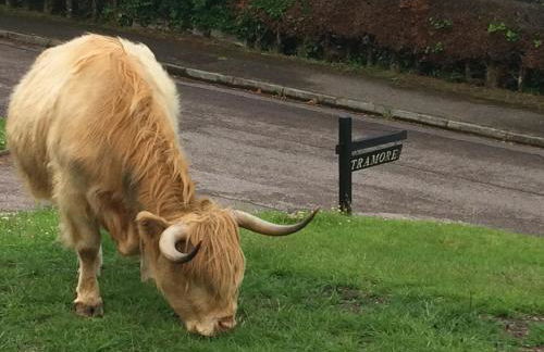 TRAMORE - self contained 1 bedroom unit - king size bed - free private parking - 3 miles from Fort William High Street - Foto 12