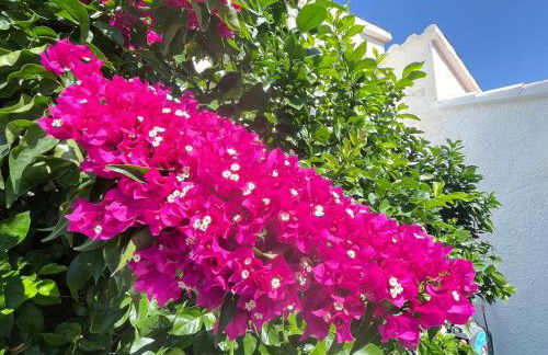 Charmante villa avec piscine dans les canaux - Foto 22