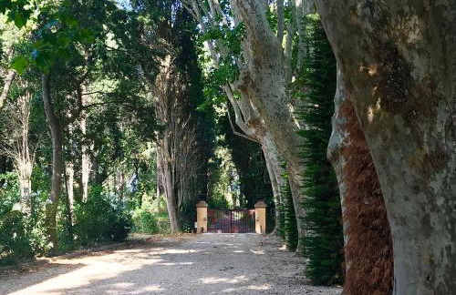 Can Còdol de Fluvià - Casita - Foto 23