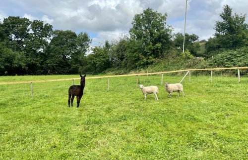 The Annex at Pantglas Farm - Foto 13