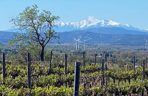Maison du Midi, 2 Gîtes de charme - Foto 61