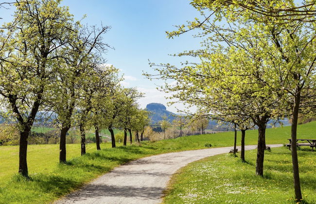 Chic Vacation Home near Forest in Sebnitz Germany - Foto 25