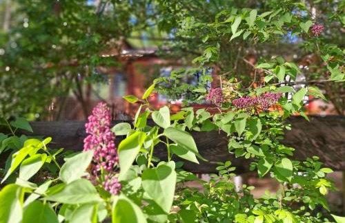 Waldidylle - Bungalows an der Talsperre Kriebstein - Foto 29