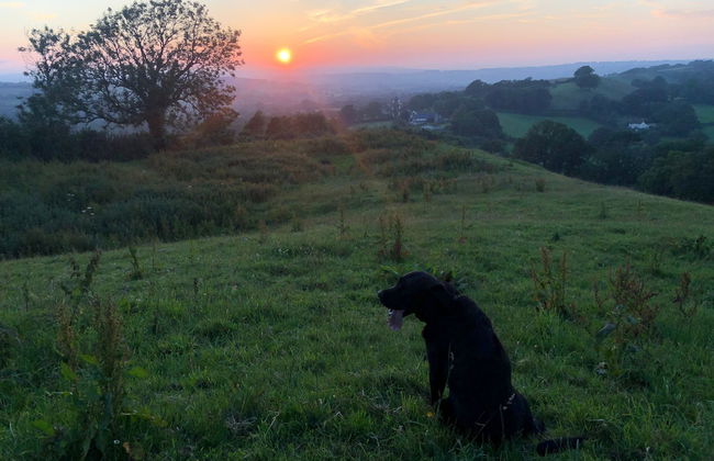 1 Bed Cabin - Sleeps 2 - 15 Mins From Lyme Regis - Foto 10