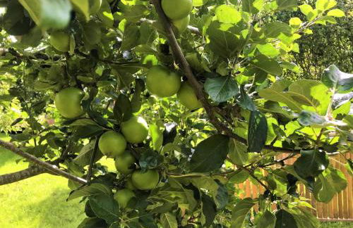 2 Bed in Brecon oc-59734 - Foto 35