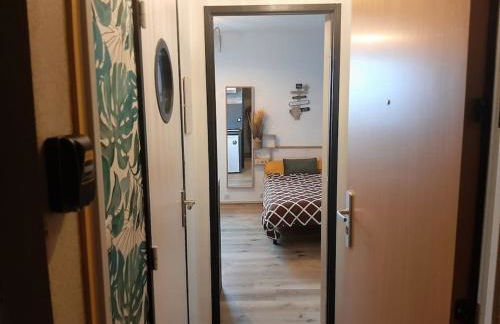 Songe Tropical-InvIRI. Studio CHU. Parking Aisé. - Foto 10