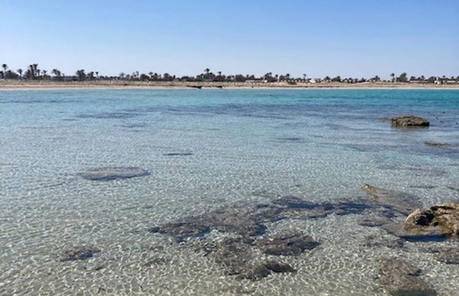 Villa Dar Dart Djerba 8 People - Foto 20