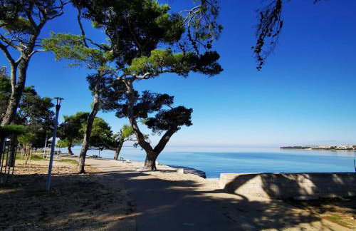 Residence Family Plazina - Place 1 & 2 - Foto 33