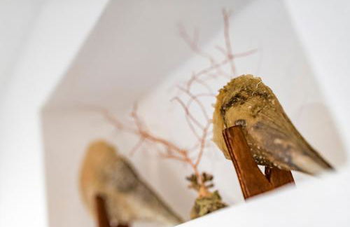 Casa Damare Capitolo - Foto 13