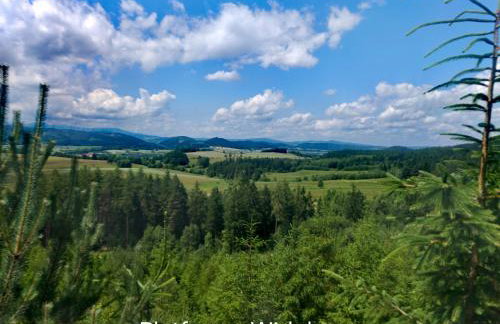 APARTAMENTY & DOMKI Chełmsko Śląskie - Foto 18