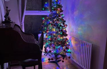 Ringfort Manor - Foto 16