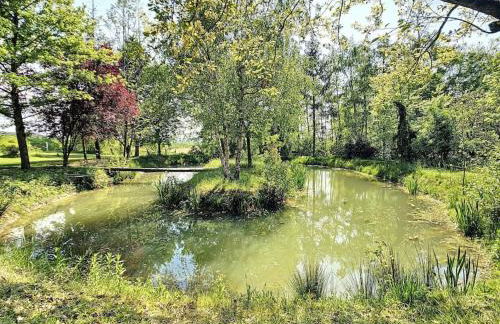 Gîte de la Rhumerie - Foto 8