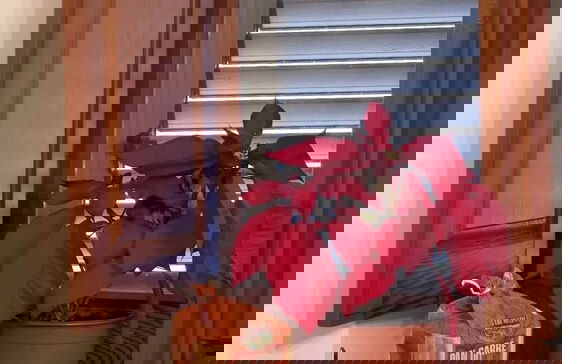 Itiseasy Cuglieri 2 Luxury Apartment - Foto 46