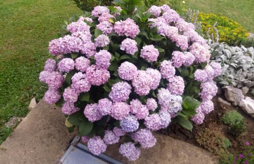 Kuća za odmor Mažuran - Foto 67