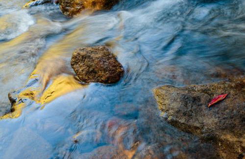 Chalé Flores e Amores - Photo 31