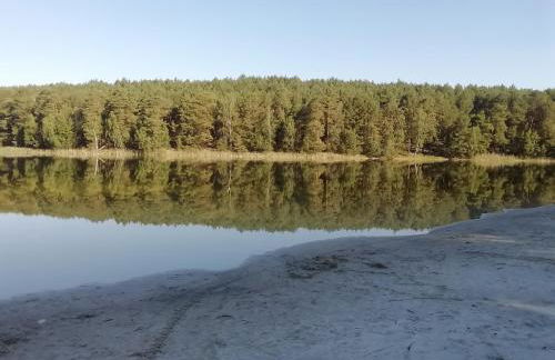 Spreewaldhäuser Golinski mit Kamin am Neuendorfer See - Foto 35