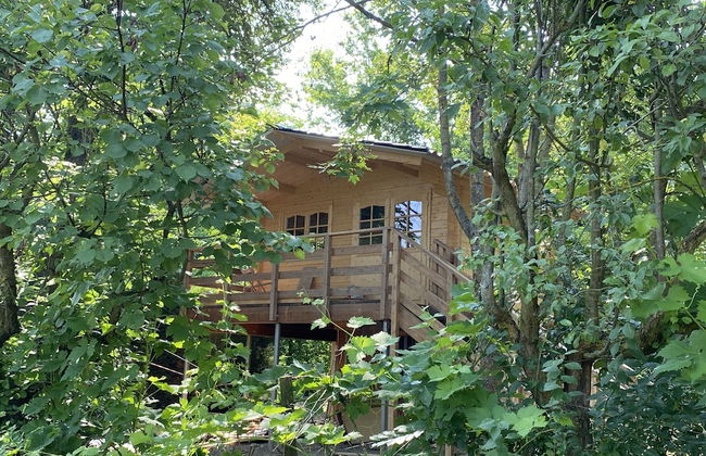 Holiday House Sullalbero Rural eco in Alba - Foto 17