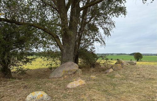 Gemütliche FeWo mit Balkon nahe der Ostsee - 2 Schlafzimmer - Foto 44