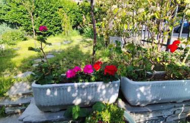 VILLA ADRY Aosta Sarre Your freedom - Foto 60