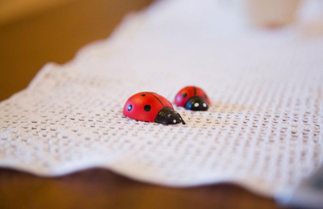 Agriturismo Le Bucoliche - Foto 34