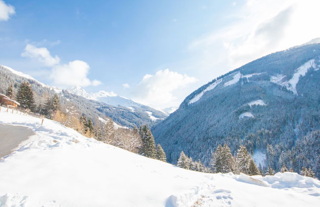 Alm Chalet - Foto 40