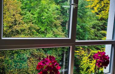 Apartament Kurort Kozubnik Wilcza Wataha - Foto 7