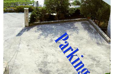 Blue Sensation - Foto 17