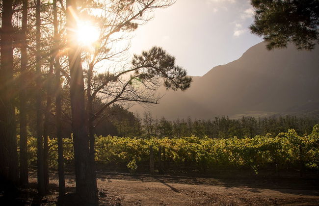 Clouds End Farm - Photo 44