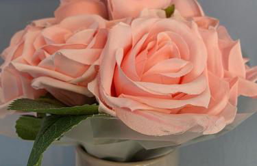 Linnhe View Fort William - Foto 12