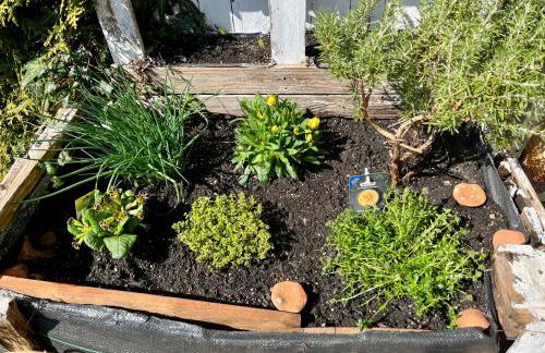 Casa Banniza - Foto 38