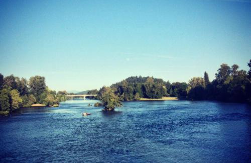 Charming Garden Cottage - Photo 26