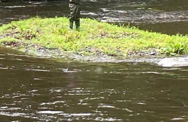 Peaceful Gateway to Island Creek Cottage - Foto 34