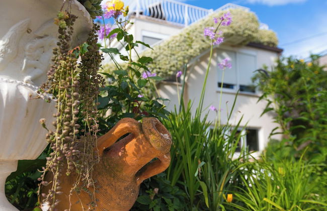 Apartments Regjo - Photo 51