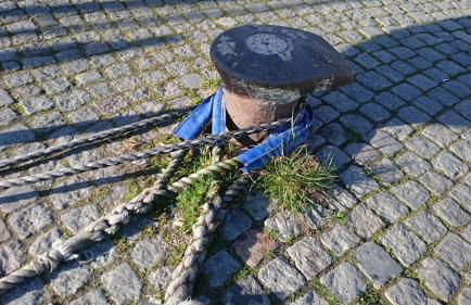 Idyll im Land der 1000 Seen - Foto 56