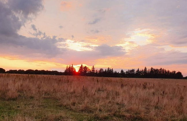 2 Person Holiday Home in Esbjerg V-by Traum - Foto 10