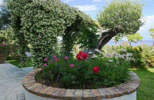 Gina Studios - Foto 38